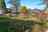 Blurred preview of media: 26