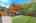 Blurred preview of media: 260140-33a