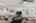 Blurred preview of media: 1472 Dunns Lake Dr-21