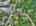 Blurred preview of media: DJI_20260625123241_0489_D_90_D_91_D_easyHDR