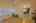 Blurred preview of media: IMG_6536_7_8