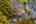 Blurred preview of media: 1-65