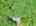 Blurred preview of media: DJI_20260608140832_0554_D_2_0555_D_3_0556_D_easyHDR