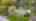 Blurred preview of media: 1.8