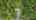 Blurred preview of media: DJI_0325-HDR
