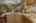 Blurred preview of media: 23