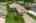 Blurred preview of media: iPixx_10_8