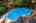 Blurred preview of media: 22
