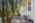 Blurred preview of media: 1-32