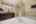 Blurred preview of media: 62-manor-square-sparta-nj-usa-house-024