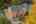 Blurred preview of media: 1-60
