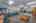 Blurred preview of media: 72