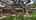 Blurred preview of media: Unknown media
