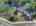 Blurred preview of media: 1309 Hideaway Drive S-98