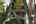 Blurred preview of media: A-6
