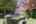 Blurred preview of media: 13144_001