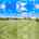 Blurred preview of media: 2-926-7831