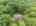 Blurred preview of media: 67 Quaker Lane Bolton Massachusetts Job 39838 0073