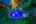 Blurred preview of media: 4Sept0019