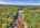 Blurred preview of media: DJI_20250802143801_0607_D_8_D_9_D_easyHDR