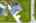 Blurred preview of media: iPixx_10_12