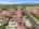 Blurred preview of media: 1489spalmave-6