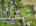 Blurred preview of media: 25-prospect-avenue-andover-nj-usa-drone-004