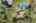 Blurred preview of media: 99 Beaver Road Reading Massachusetts Job 39079 0091