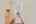 Blurred preview of media: 15901 Four Corners Ct-121