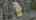 Blurred preview of media: DJI_0253 copy