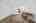 Blurred preview of media: 2-826-7618