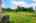 Blurred preview of media: 42
