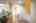 Blurred preview of media: IMG_9959