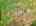 Blurred preview of media: DJI_20260616114920_0827_D_8_D_9_D_easyHDR