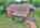 Blurred preview of media: DJI_20260625122627_0432_D_3_D_4_D_easyHDR