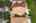 Blurred preview of media: iPixx_10_28_Copy