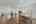 Blurred preview of media: DSC03798