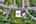 Blurred preview of media: DJI_0162_3_4_easyHDR