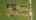 Blurred preview of media: DJI_0748