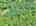 Blurred preview of media: DJI_20260527103522_0011_D_2_0012_D_3_0013_D_easyHDR