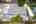 Blurred preview of media: 1109 Peek Ave-131