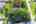 Blurred preview of media: 10_Ipixx_8