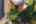 Blurred preview of media: 1-22