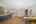 Blurred preview of media: DSC08480
