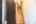 Blurred preview of media: 9 phelps lane744