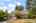 Blurred preview of media: 1-3