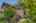 Blurred preview of media: 03