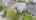 Blurred preview of media: DJI_20260621185705_0007_D