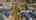 Blurred preview of media: 345-23