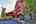 Blurred preview of media: Unknown media